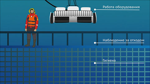кадр из анимационного видеоролика «План биологической безопасности» для компании «Русское море»