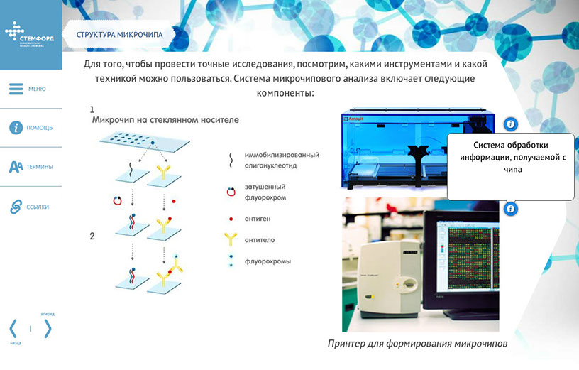 Электронный интерактивный курс «Микрочиповые биосенсорные системы» для eNANO - структура микрочипа