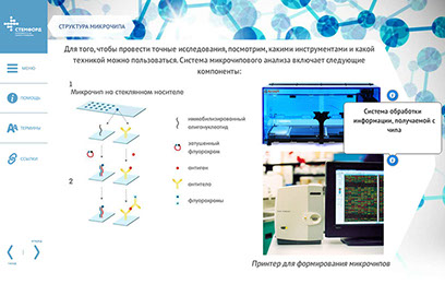 Электронный интерактивный курс «Микрочиповые биосенсорные системы» для eNANO - структура микрочипа