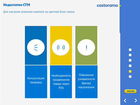 Электронный послайдовый курс «Собственные торговые марки Castorama» - недостатки СТМ